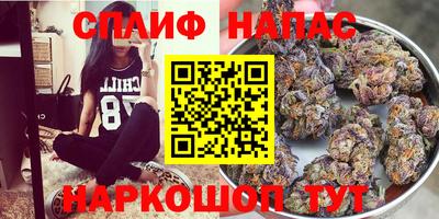 мдпв Донецк
