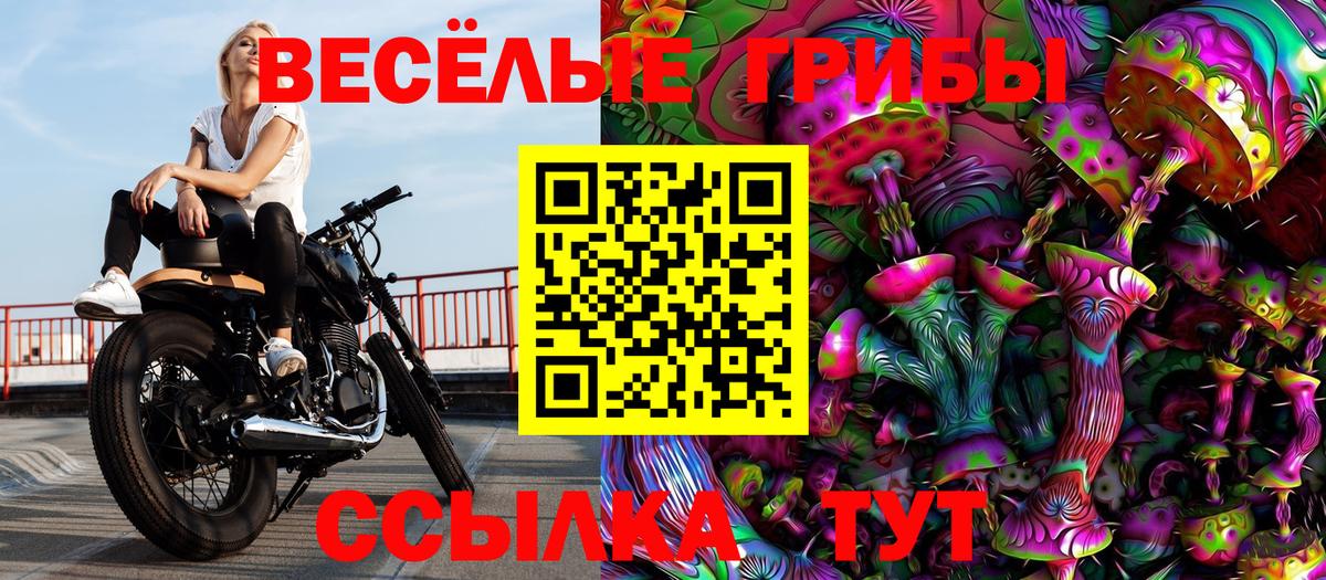 Галлюциногенные грибы Magic Shrooms  Галлюциногенные грибы MAGIC MUSHROOMS  Вход с VPN  Мичуринск 